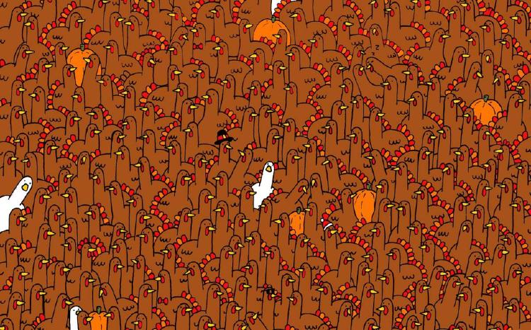 Reto visual Reto visual