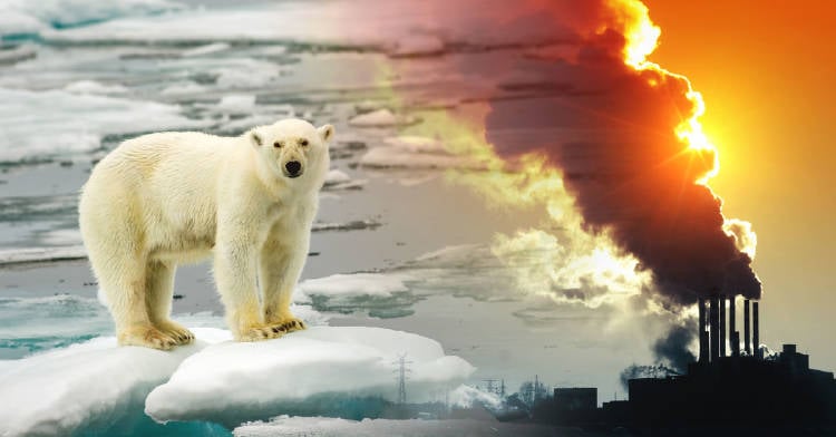 Calentamiento global: ¿De qué se trata y cuáles son sus causas? | Bioguia