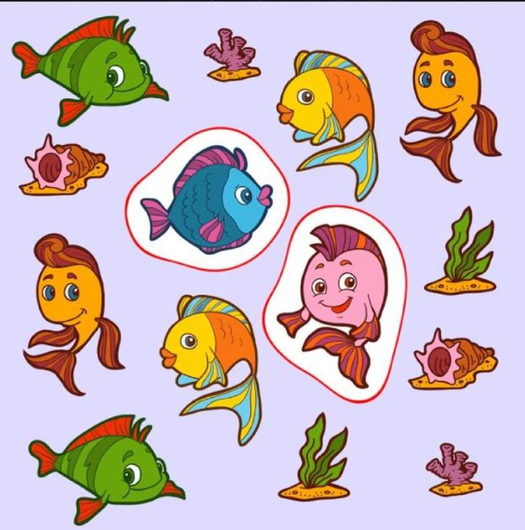 acertijo Encuentra los peces sin pareja