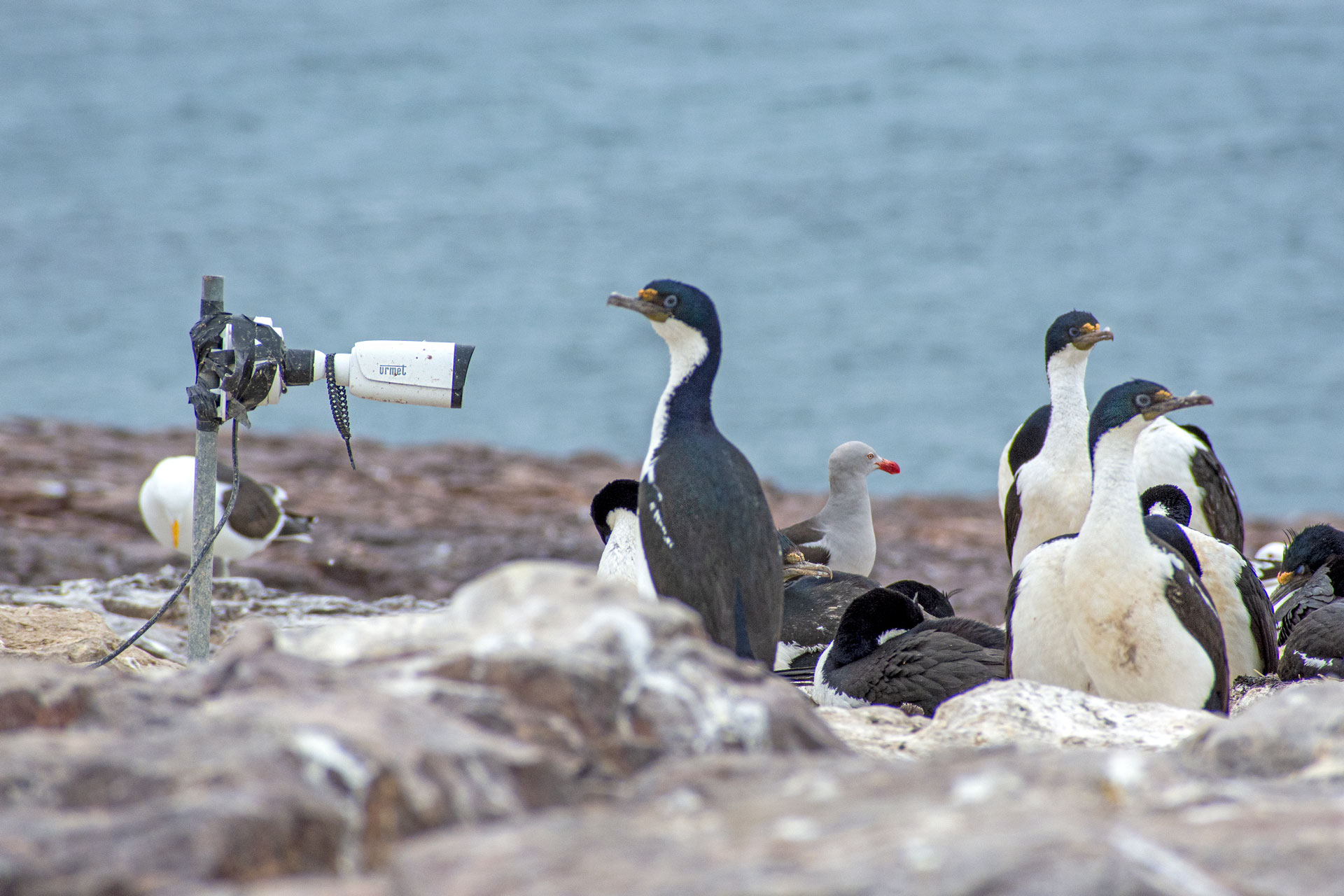 aaMIB_0098 1 aaMIB_0098 1