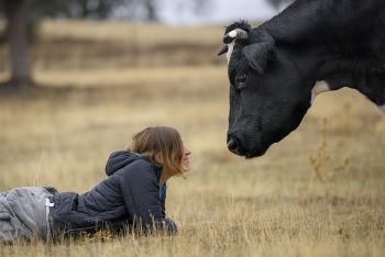 contacto santuario vegan