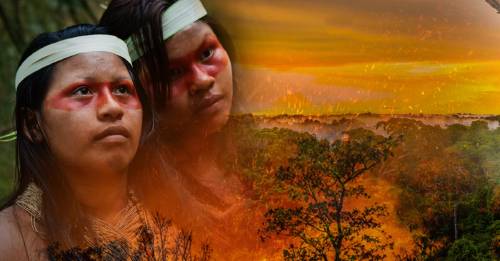 Imágenes impactantes muestran el desastre en el Amazonas