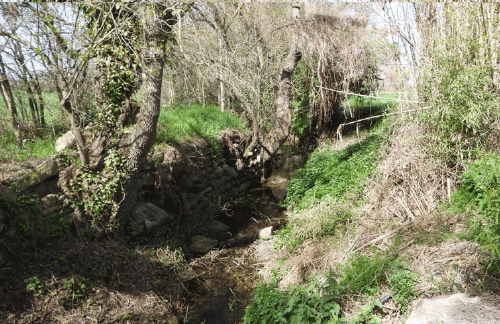 reto-pelota reto-pelota