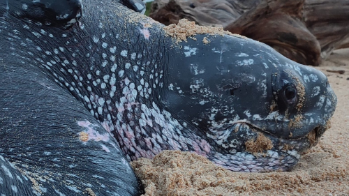 326547714_718459666357773_359804161575748254_n 2048x890 326547714_718459666357773_359804161575748254_n 2048x890