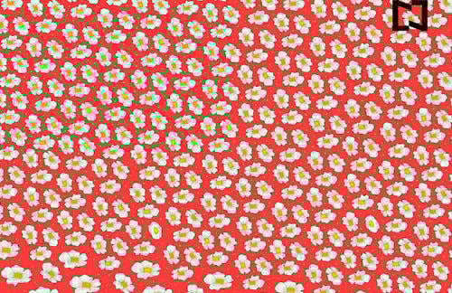 Huevos fritos Huevos fritos