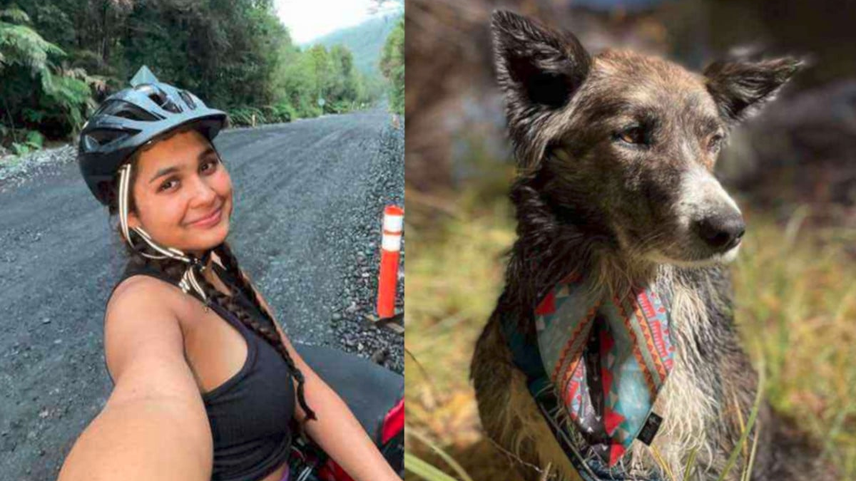 perrita chile perrita chile