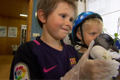 niños con aves Imagen: savepuffins.org