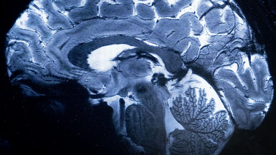 68722838_1004 68722838_1004