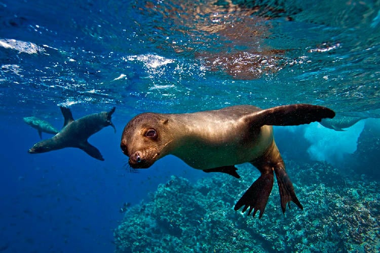 reserva marina reserva marina