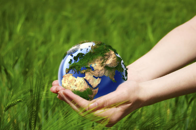 home documental home documental