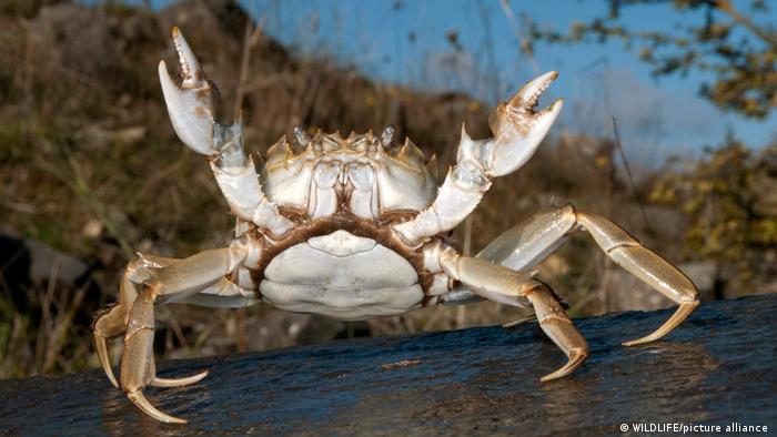 63048311_303 63048311_303