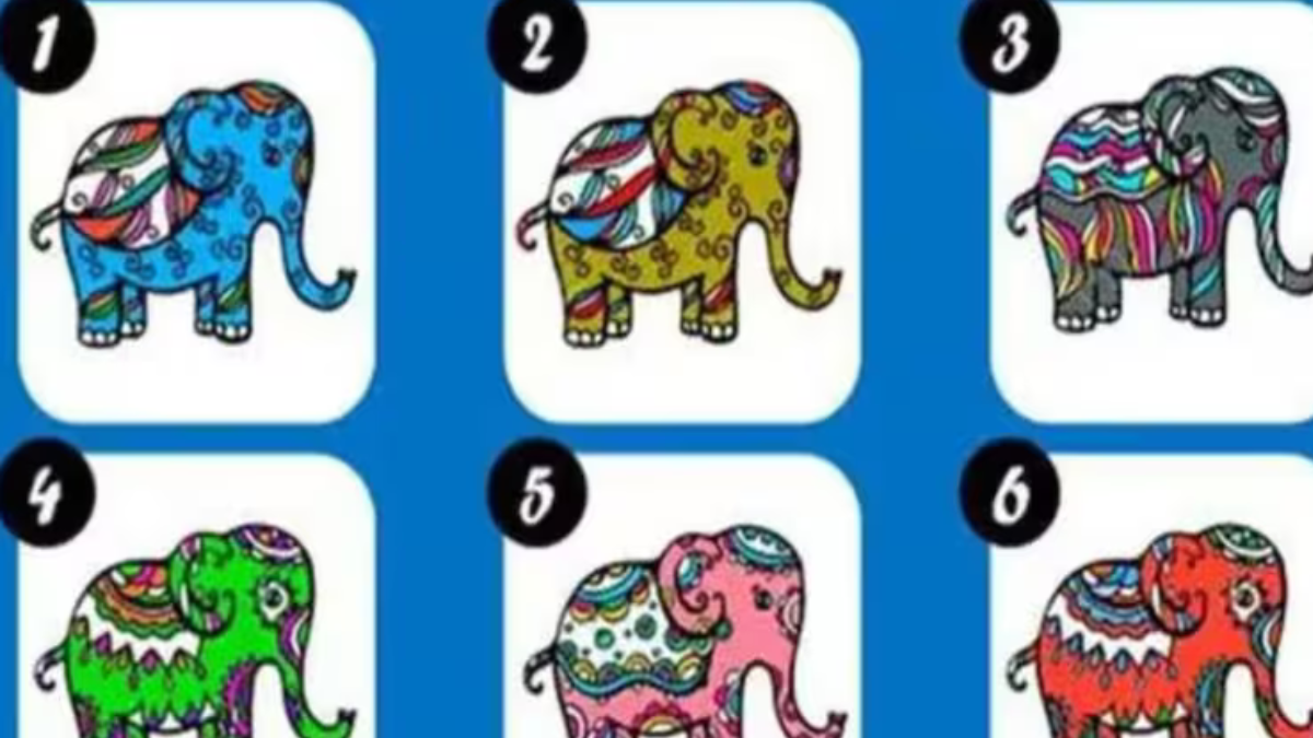 test ¿Que elefante rte representa?