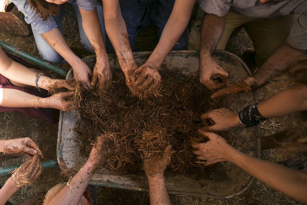 arquitectura sustentable arquitectura sustentable