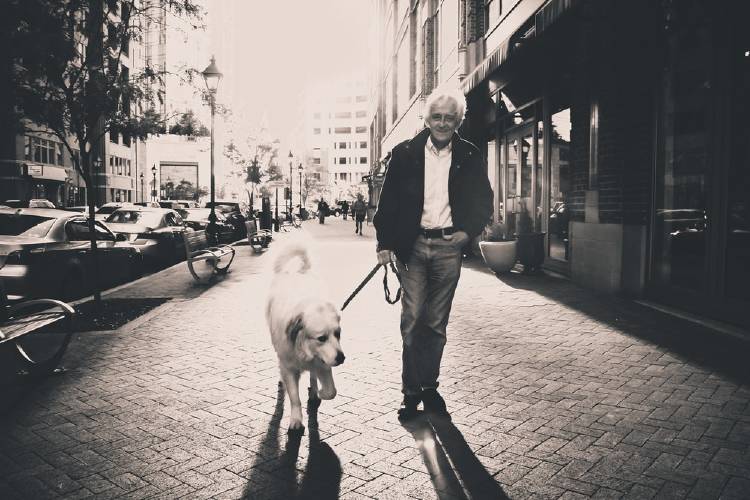 Pasear al perro como una solución al sedentarismo