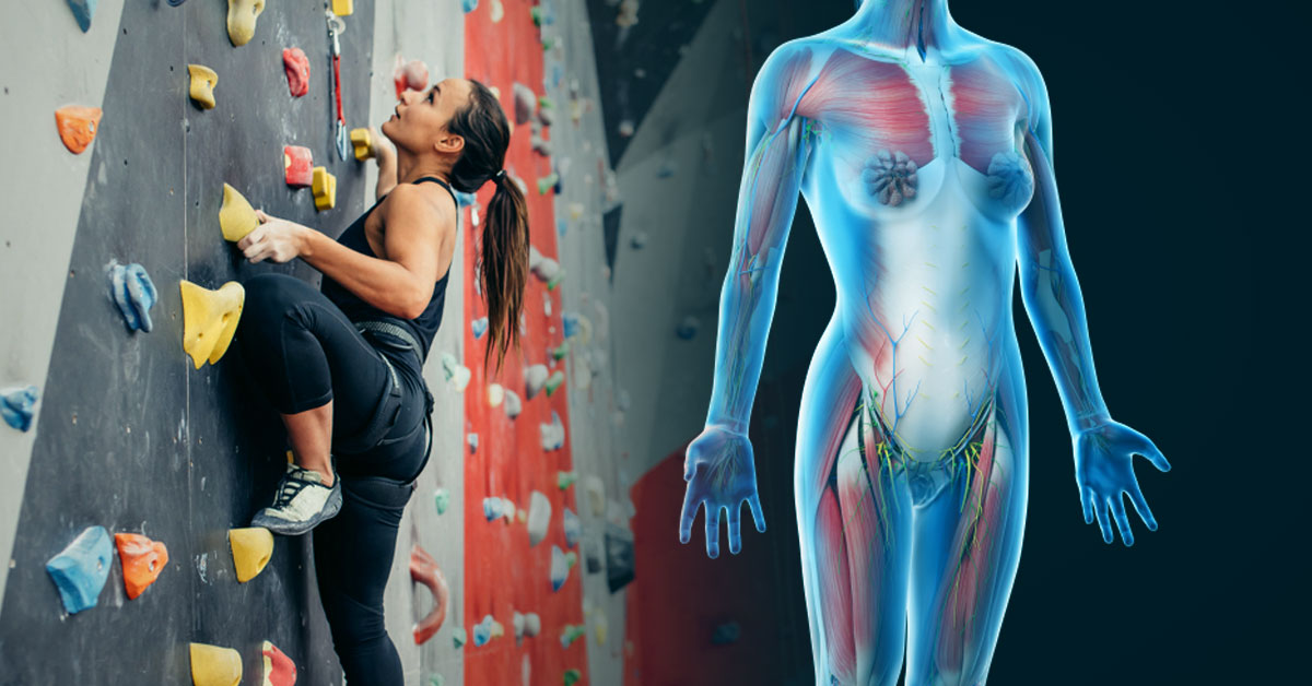 deportes excelentes beneficios saludf deportes excelentes beneficios saludf