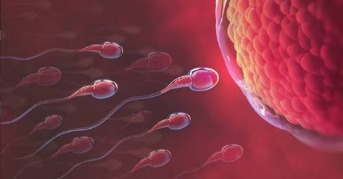 Curiosidades médicas sobre el semen que quizás no conoces