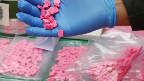 Drogas Alerta por el impacto ambiental del narcotráfico en el mundo: el narcotráfico tiene un efecto ecológico significativo y multifacético en diversas regiones del mundo