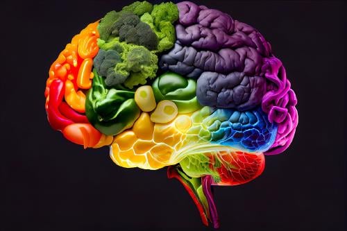 Nootrópicos Nootrópicos