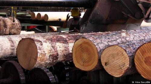 63044179_303 63044179_303