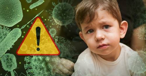 Estos son los síntomas del streptococcus pyogenes, una peligrosa enfermedad que atacó a varios niños esta semana