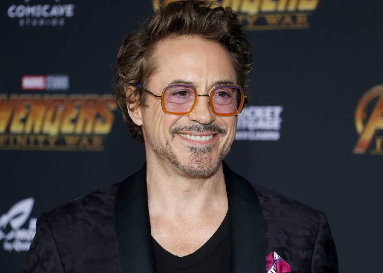 robert downey robert downey