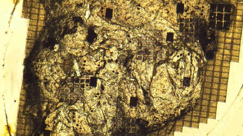 65916937_1004 65916937_1004