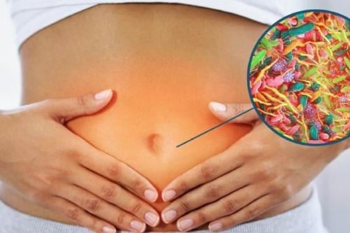 parasitos Imagen: Pinterest