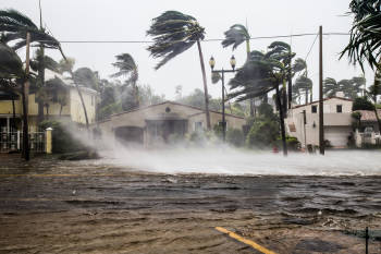 huracan irma