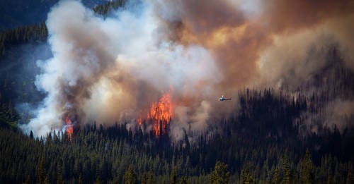 Amazonía, África, Ártico y Europa: fuegos que encienden el cambio climático
