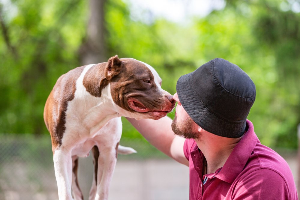 hombre perro le gusta a las mascotas que les hablen como bebés
