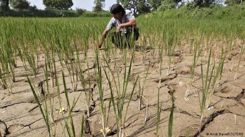 65664222_303 65664222_303