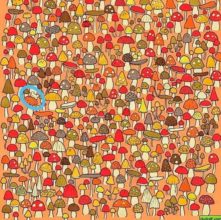 acertijo solucio acertijo solucio