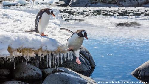 67157518_303 67157518_303