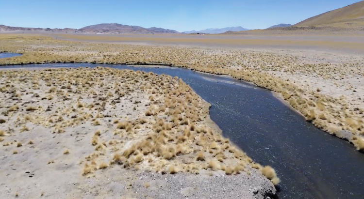 Salar del Hombre Muerto / Comunidades Kollas y Atacama de Salinas Grandes y Laguna de GuayatayocCaptura de pantalla 2026 04 26 a la(s) 4.54.59 p. m. Salar del Hombre Muerto / Comunidades Kollas y Atacama de Salinas Grandes y Laguna de GuayatayocCaptura de pantalla 2026 04 26 a la(s) 4.54.59 p. m.
