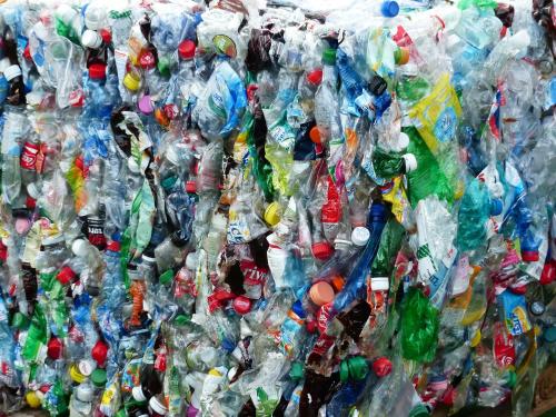 Reciclaje de plástico: cómo es el proceso, plantas y manualidades