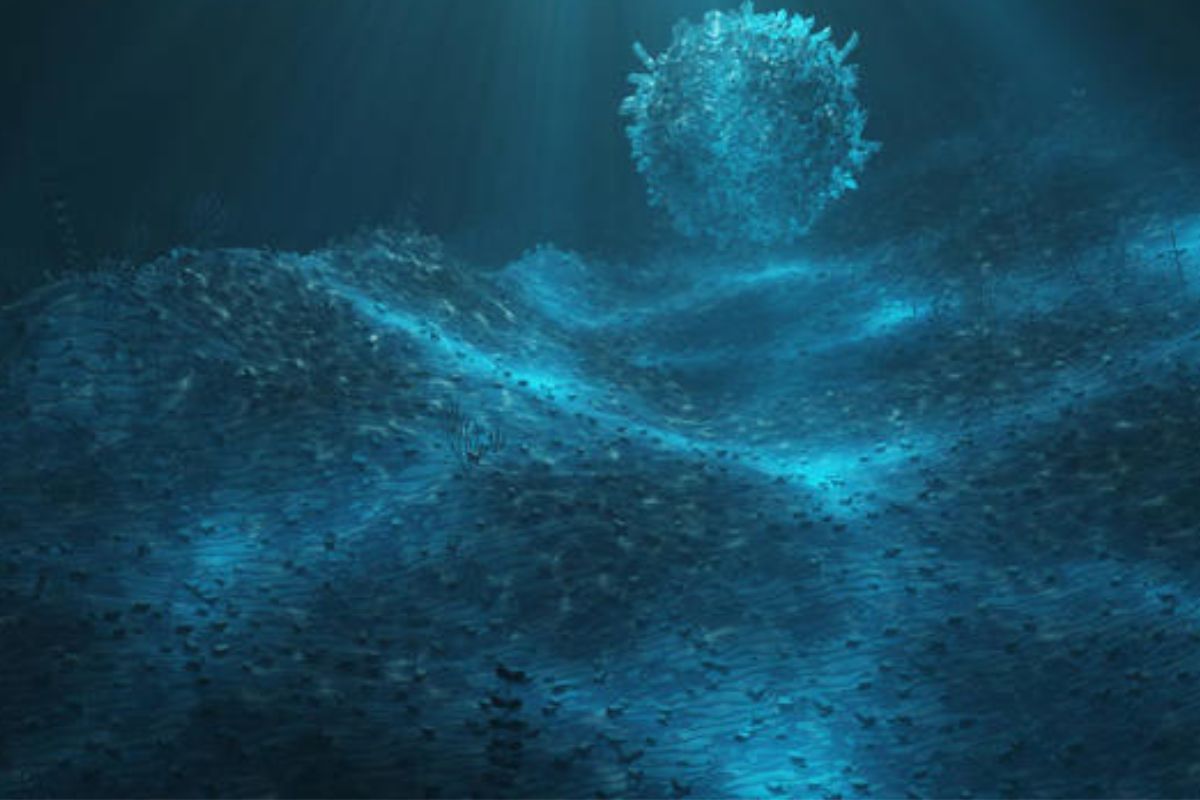 En las profundidades heladas del océano Austral, cerca de las remotas Islas Sandwich del Sur, los científicos encontraron una esponja carnívora con una apariencia tan inusual que fue apodada “Death Ball” (Bola de la Muerte). (Imagen: msn.com)