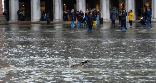 inundacion venecia