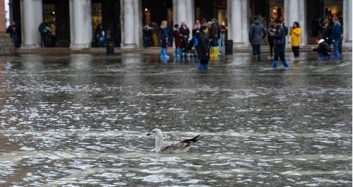 Cuáles fueron las causas de las inundaciones en Venecia