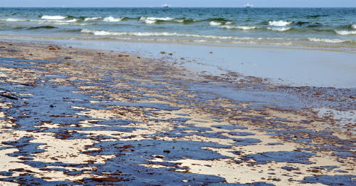 525 toneladas de petróleo contaminan las playas de la costa brasileña