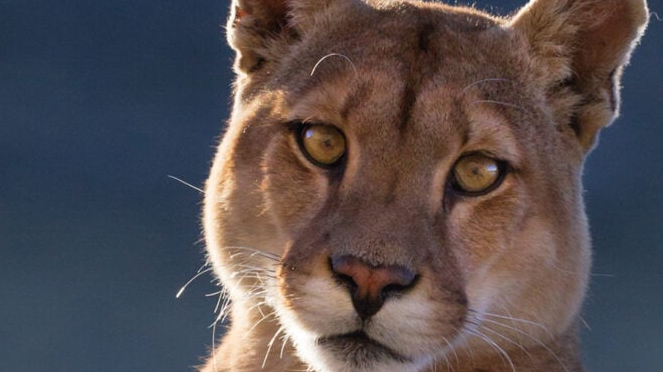 site 8 750x375 site 8 750x375