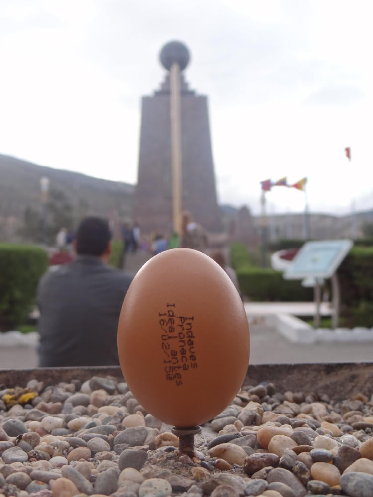 huevo ecuador AdobeStock_146199869 huevo ecuador AdobeStock_146199869