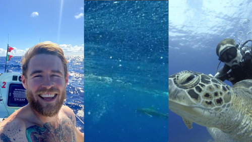 _portada bioguia _portada bioguia