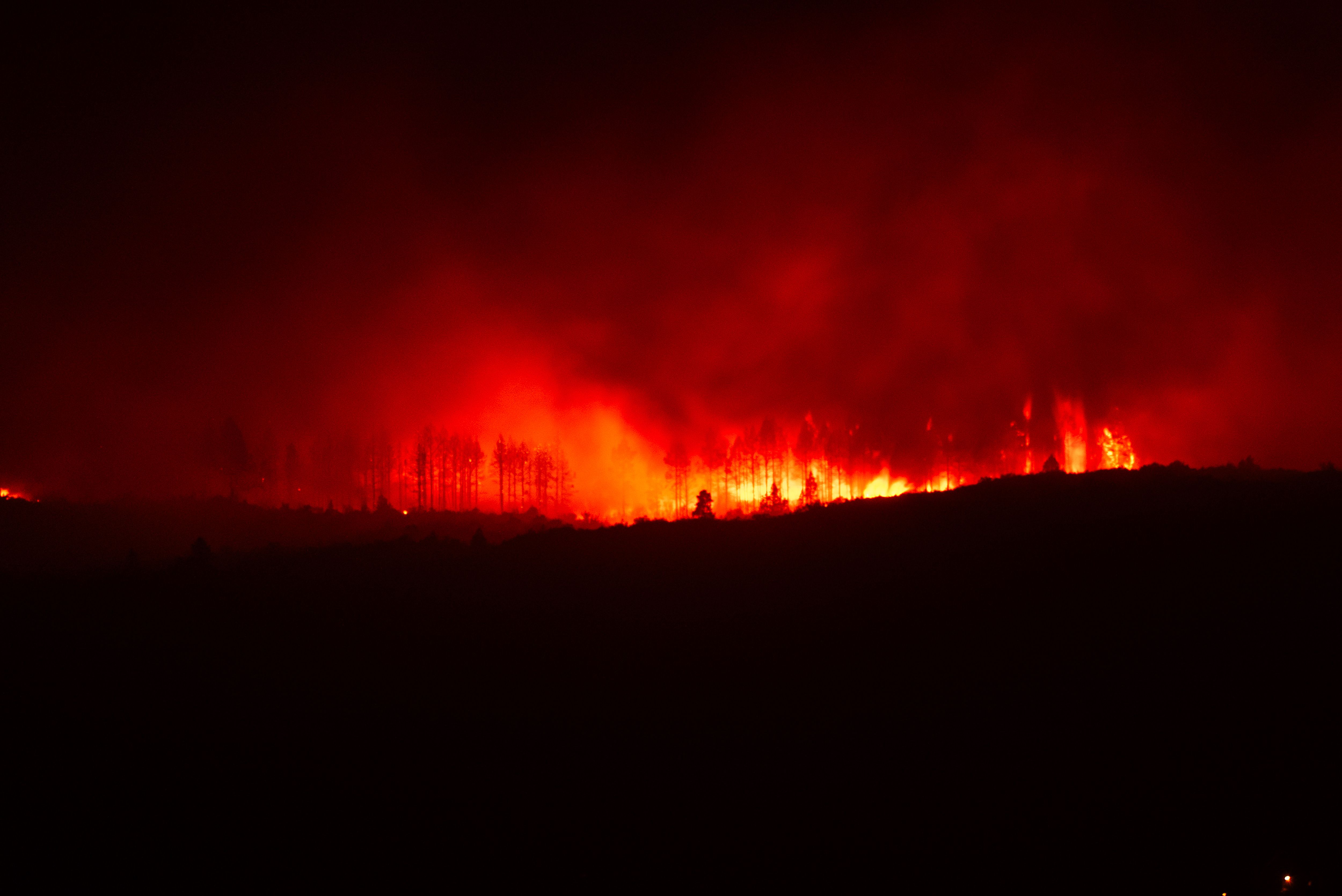 Incendios y Ola de Calor / Pexels