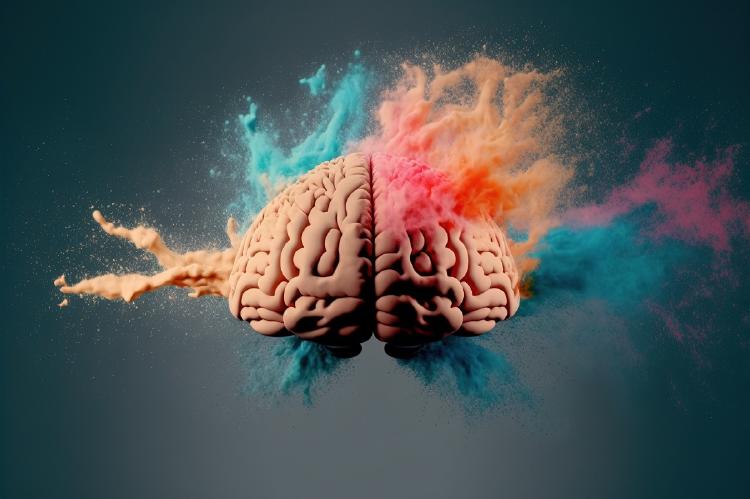 significado de los colores significado de los colores