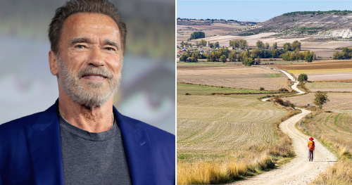 Collage portadas notas Collage portadas notas