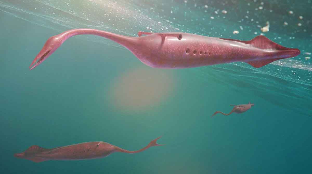 monstruo de tully monstruo de tully