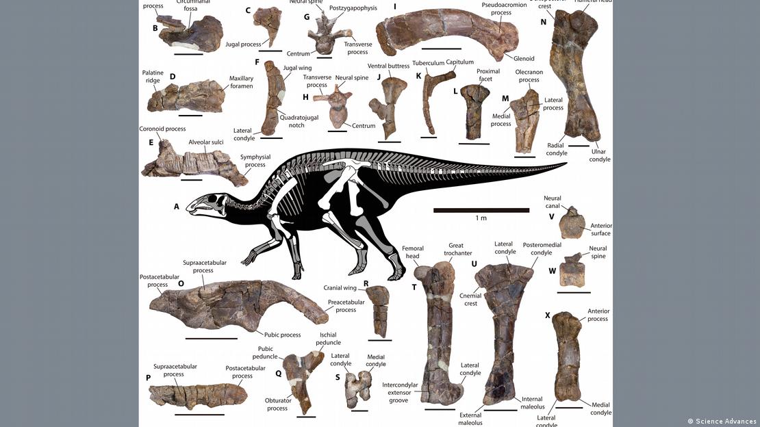 65980502_906 65980502_906