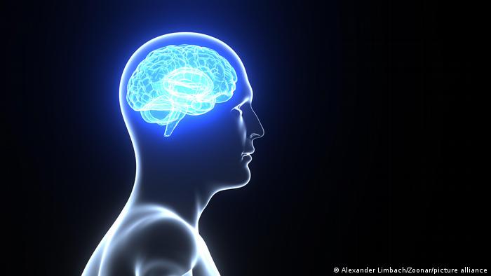 65352188_303 65352188_303