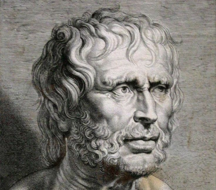 seneca seneca