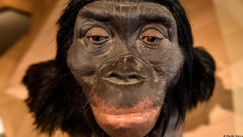 65915616_1004 65915616_1004